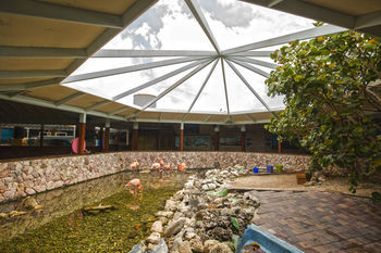 Childrens Activities